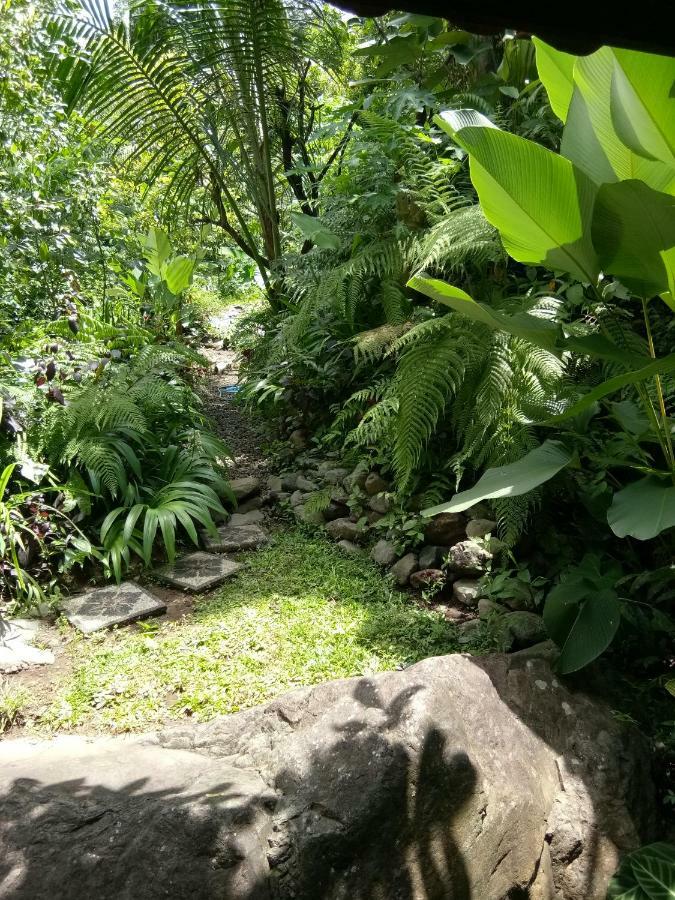 Les Garden Gasthof Tejakula