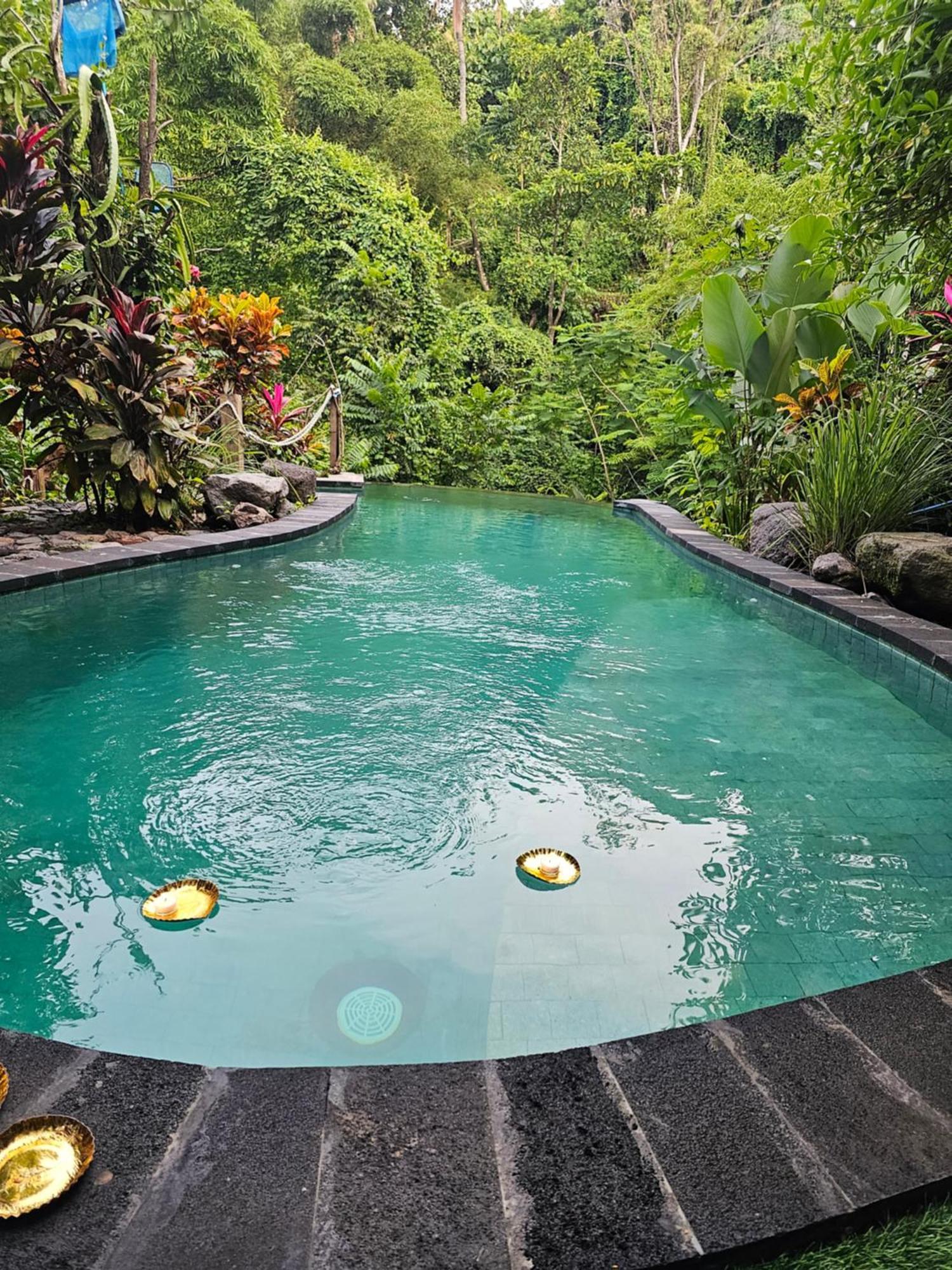 Les Garden Tejakula