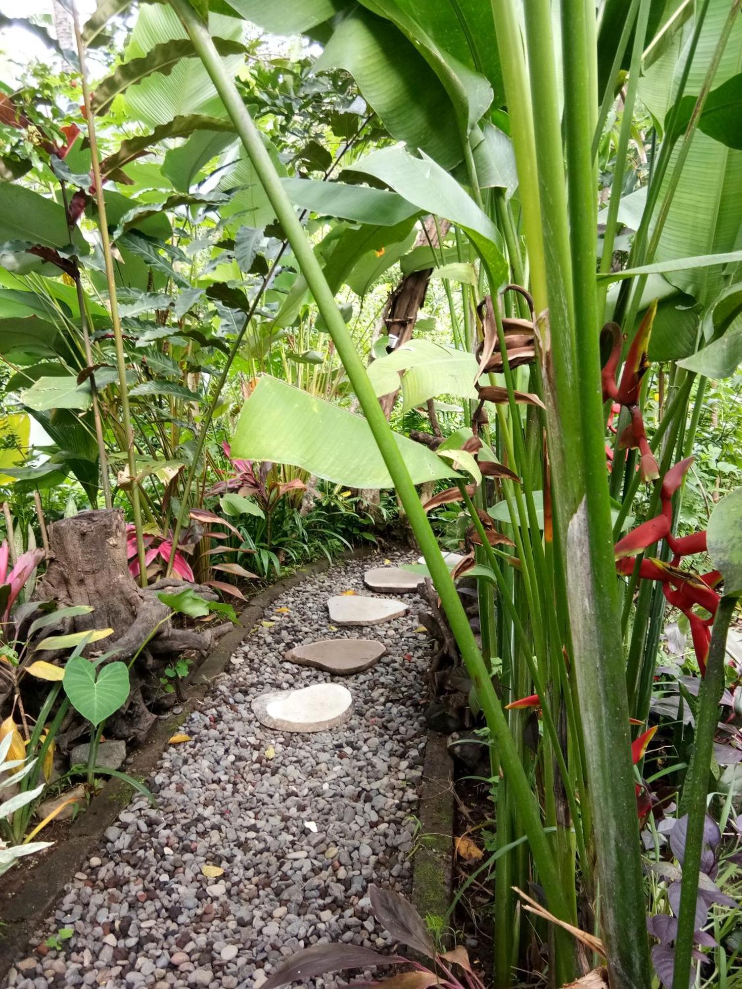 Les Garden Wisma tamu Tejakula