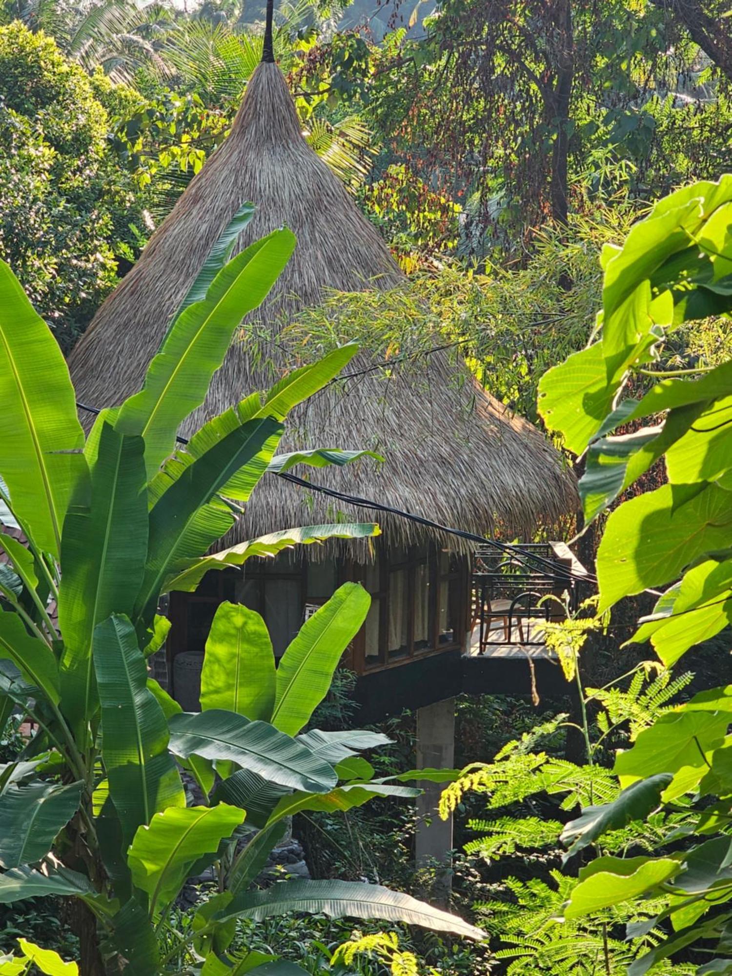 Les Garden Tejakula