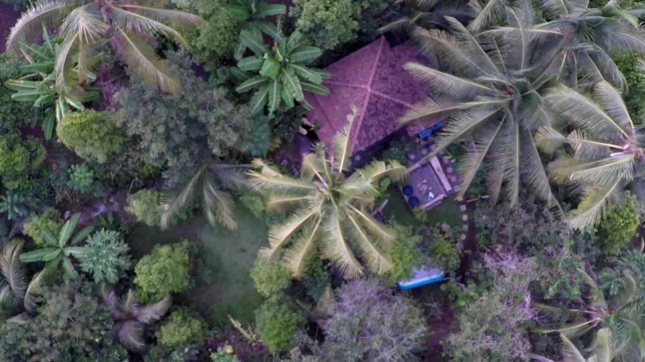 Les Garden Wisma tamu Tejakula